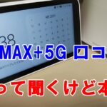 WiMAX+5Gの口コミ